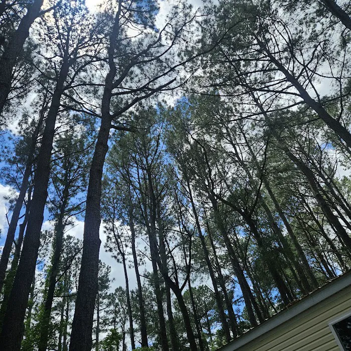 Tall Pines Campground Resort Picture 10