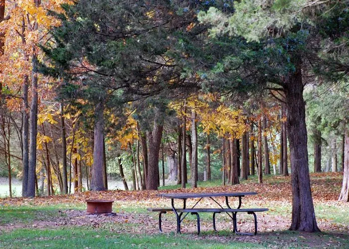 Cedar Lake Campground Picture 3