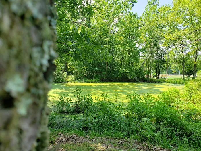 Windy Hollow Mobile Home Park Picture 6