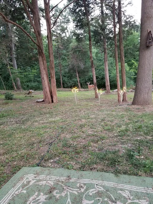 King's Campground Picture 6