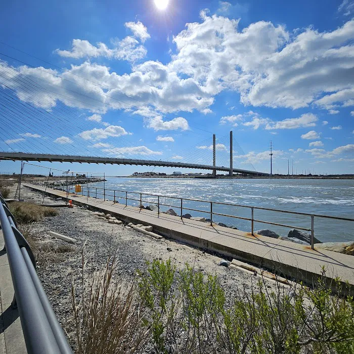 Delaware Seashore State Park North Campground Picture 3