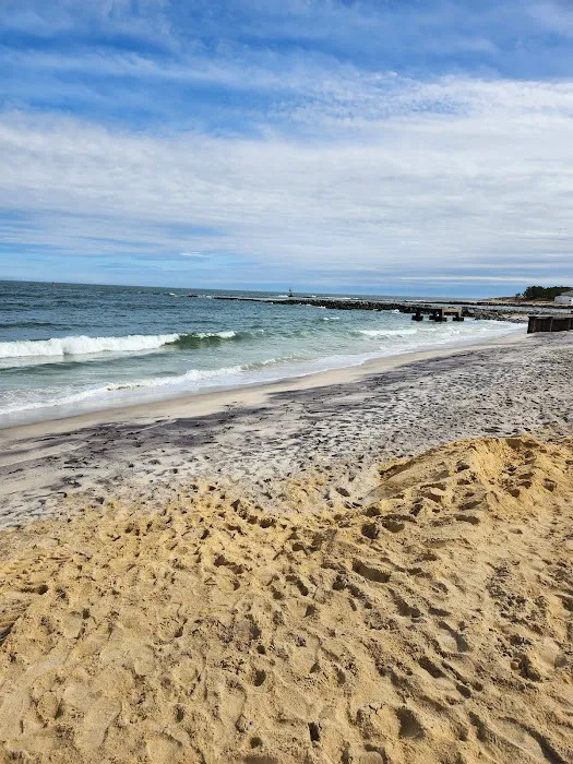 Delaware Seashore State Park North Campground Picture 4