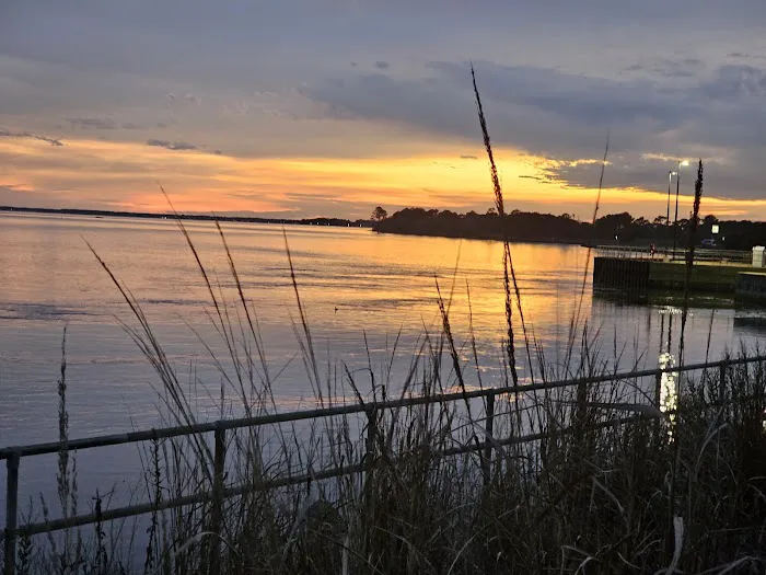 Delaware Seashore State Park North Campground Picture 8