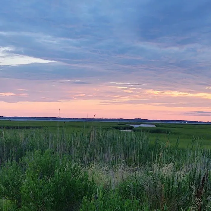Delaware Seashore State Park South Campground Picture 4