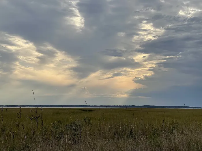 Delaware Seashore State Park South Campground Picture 6