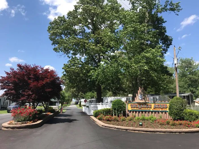 Tuckahoe Acres Picture 4
