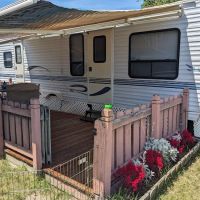 Pine Tree Campground ico