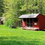 Camp Earth Connection