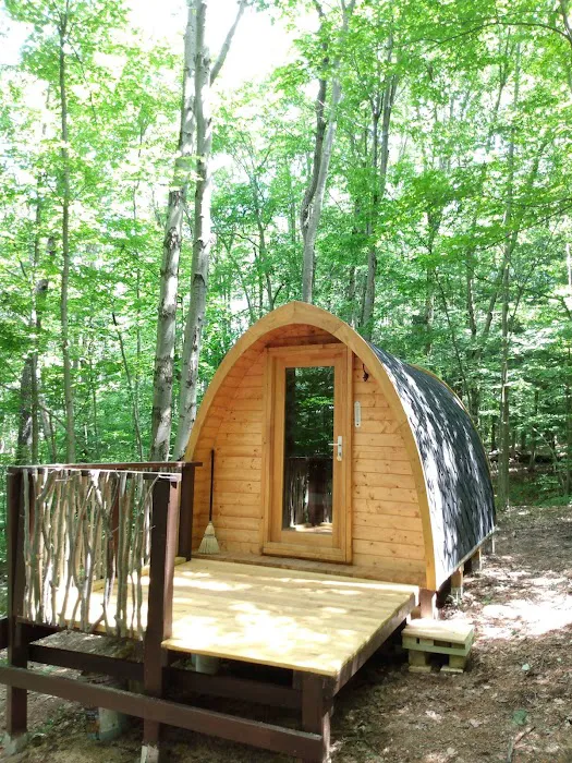 Camp Earth Connection Picture 7
