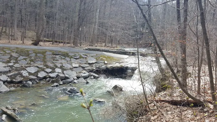 Buttermilk Falls State Park Picture 2