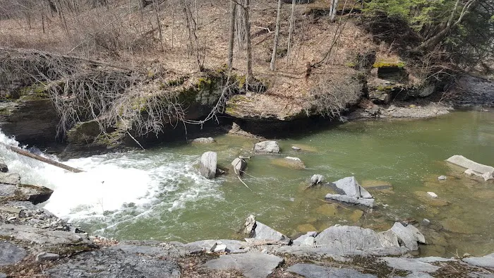 Buttermilk Falls State Park Picture 4