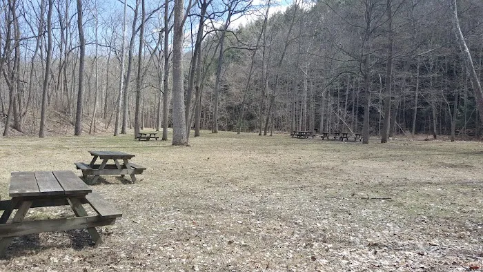 Buttermilk Falls State Park Picture 6