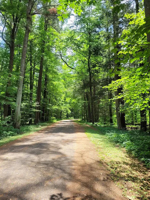 Camp Ervay Picture 1