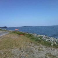 White House Beach Inc. ico