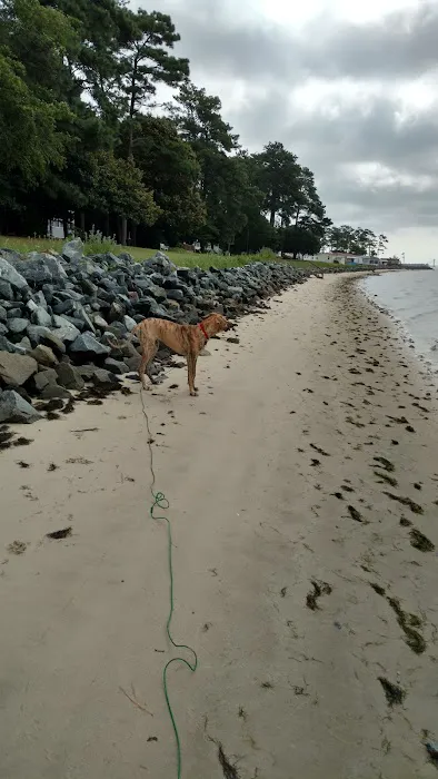 White House Beach Inc. Picture 5