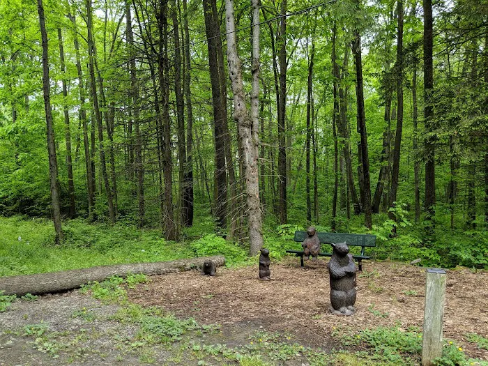Lake Grove Park Picture 6