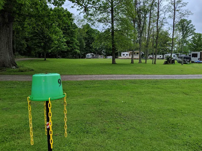 Lake Grove Park Picture 10