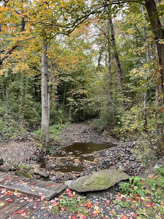 Spruce Row Campground Picture 4