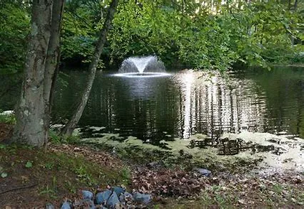 Coldbrook Resort Campground Picture 2
