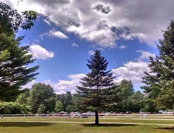 Coldbrook Resort Campground Picture 4