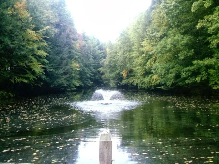 Coldbrook Resort Campground Picture 7
