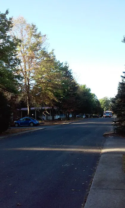 Woodburne Estates Picture 3