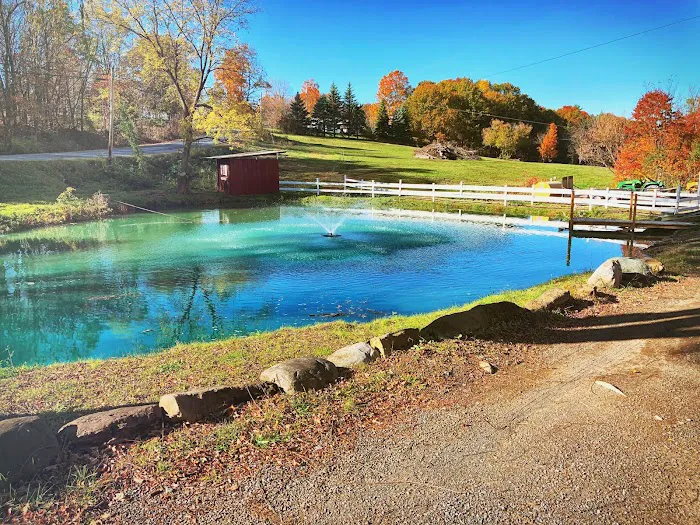 Shadow Hills Farm Picture 7