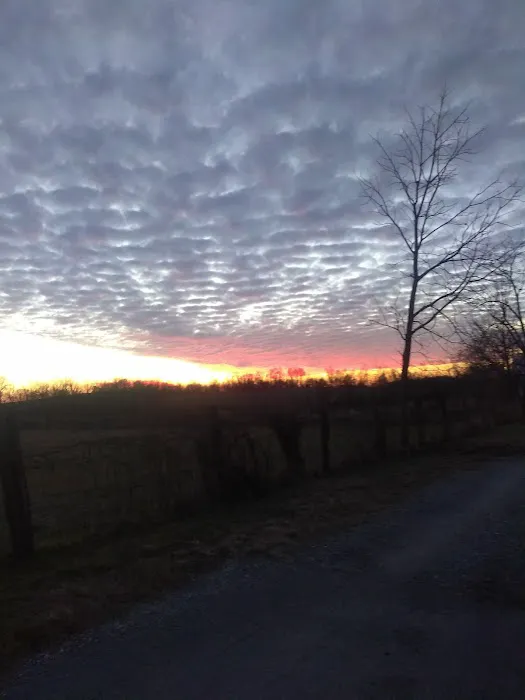 Sunshine Mobile Home Park Picture 1