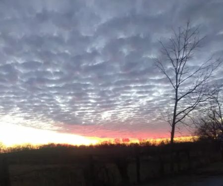 Sunshine Mobile Home Park
