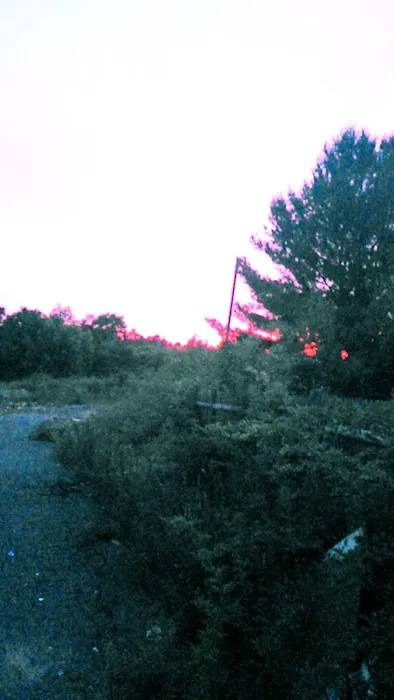 Hillcrest Picture 2
