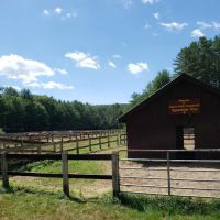 Luzerne Campground ico