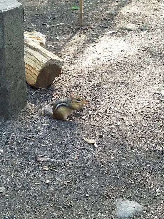 Luzerne Campground Picture 9