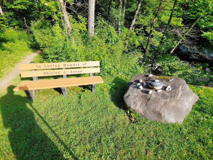 Winhall Brook Campground Picture 4