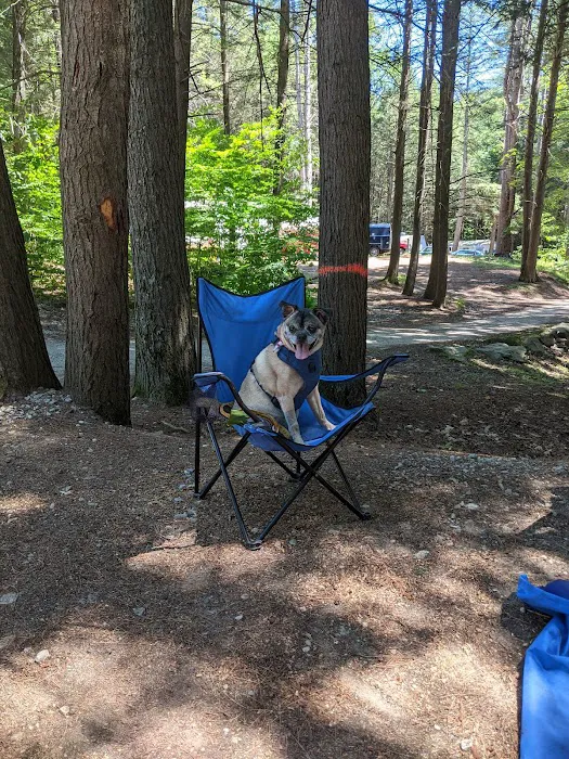 Kenolie Village Campground Picture 8