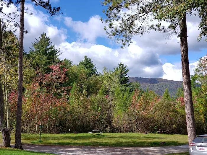 Dorset RV Park Picture 9