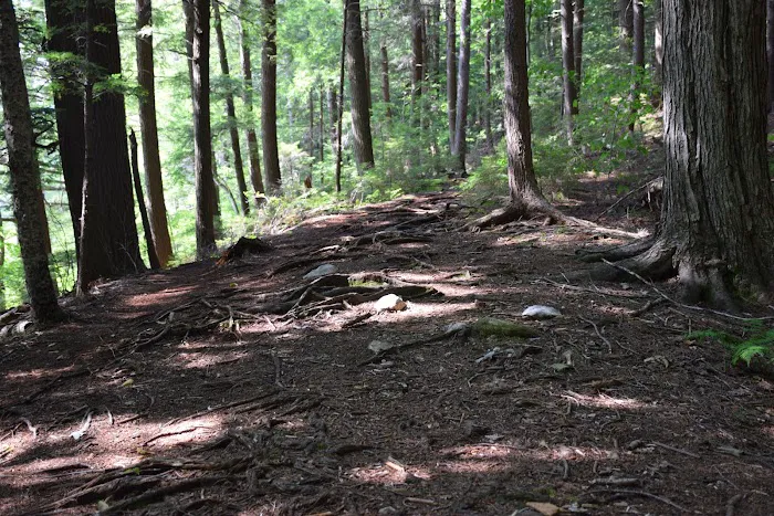 Hapgood Pond Campground Picture 9