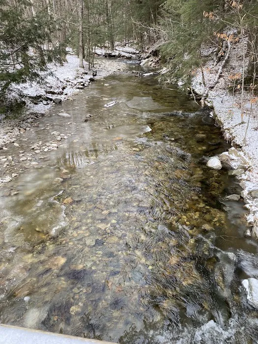Hapgood Pond Campground Picture 10