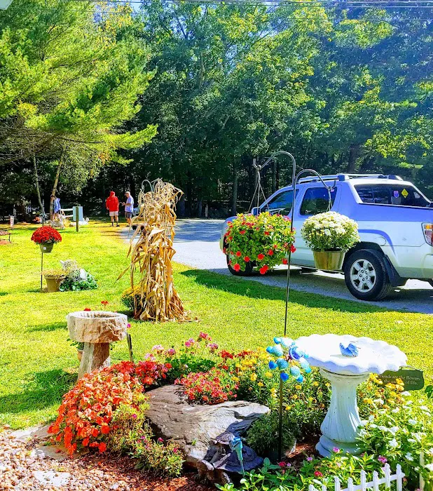 Countryside Campground Picture 6