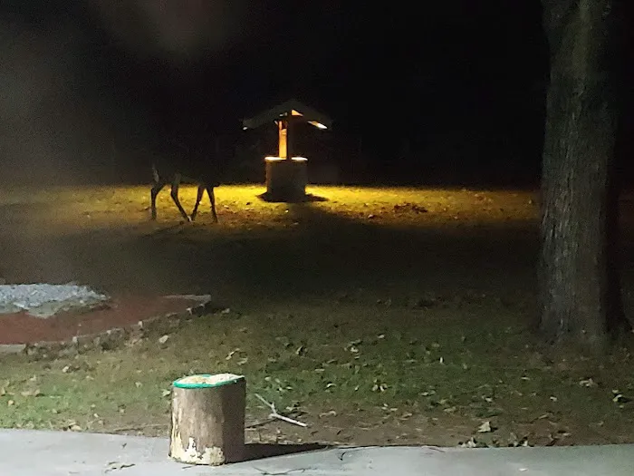 Countryside Campground Picture 9