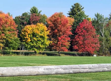 Deer Meadow Mobile Home Park