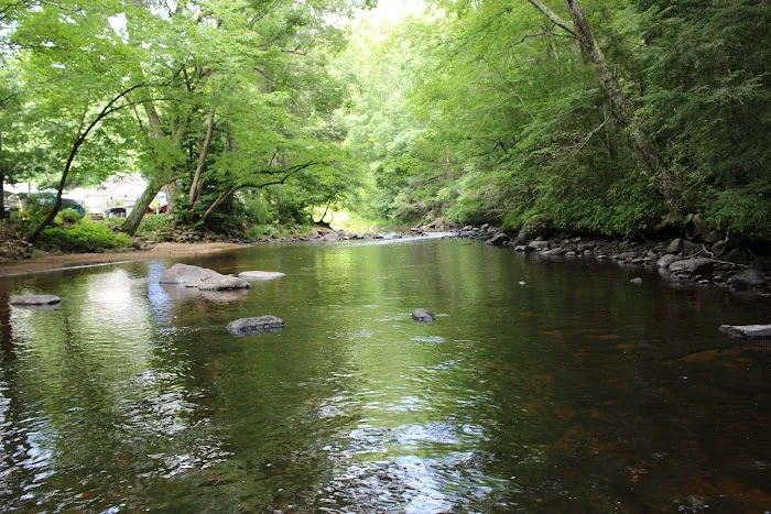 Nickerson Park Family Campground Picture 9