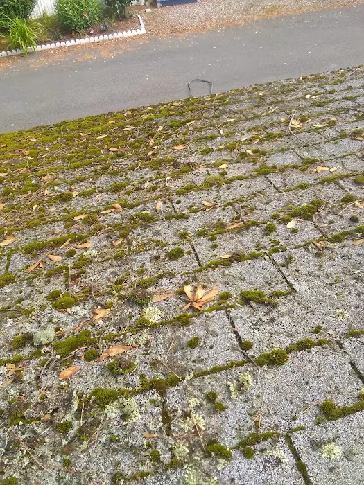 Meadowstone Park Picture 3