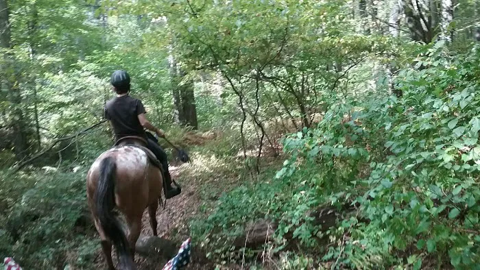 Silvermine Horse Campsite Picture 1