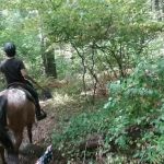Silvermine Horse Campsite