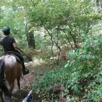 Silvermine Horse Campsite ico