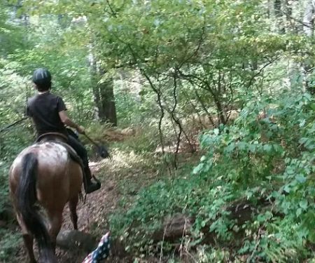 Silvermine Horse Campsite