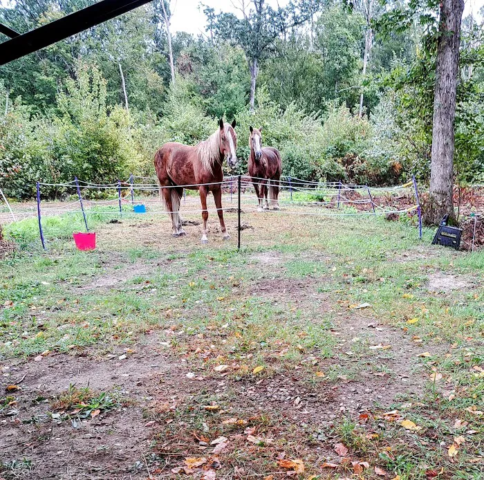Silvermine Horse Campsite Picture 6