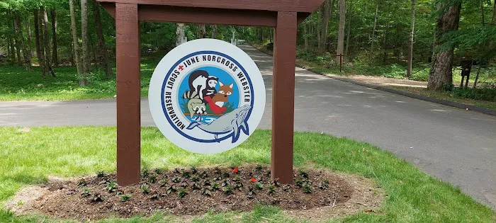 June Norcross Webster Scout Reservation Picture 5