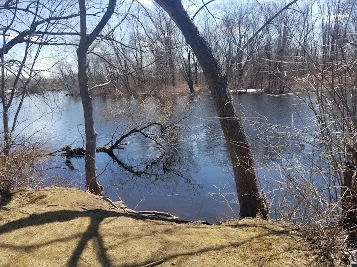 Boston Trailer Park Picture 2