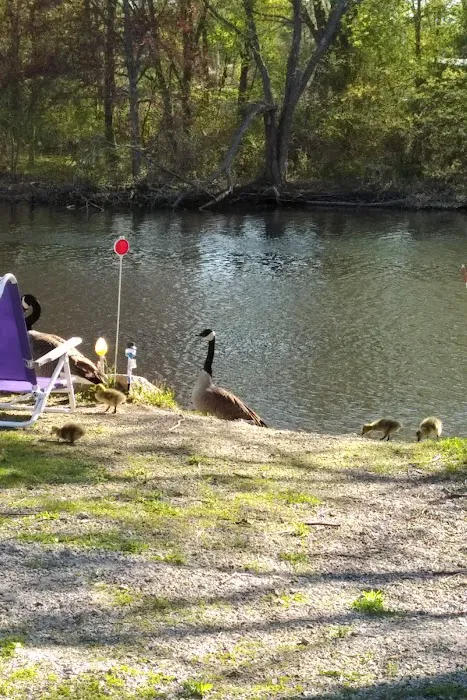 Boston Trailer Park Picture 5